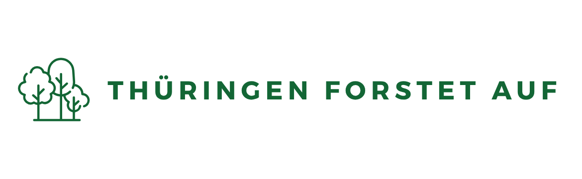 Thüringen forstet auf